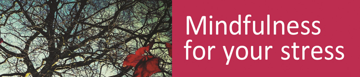 Mindfulness course banner