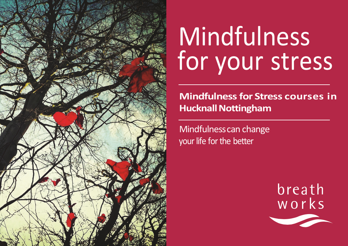 Mindfulness leaflet front