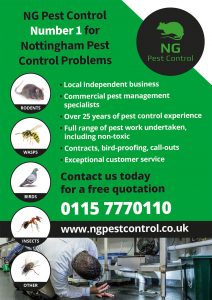NG Pest Control advertisement