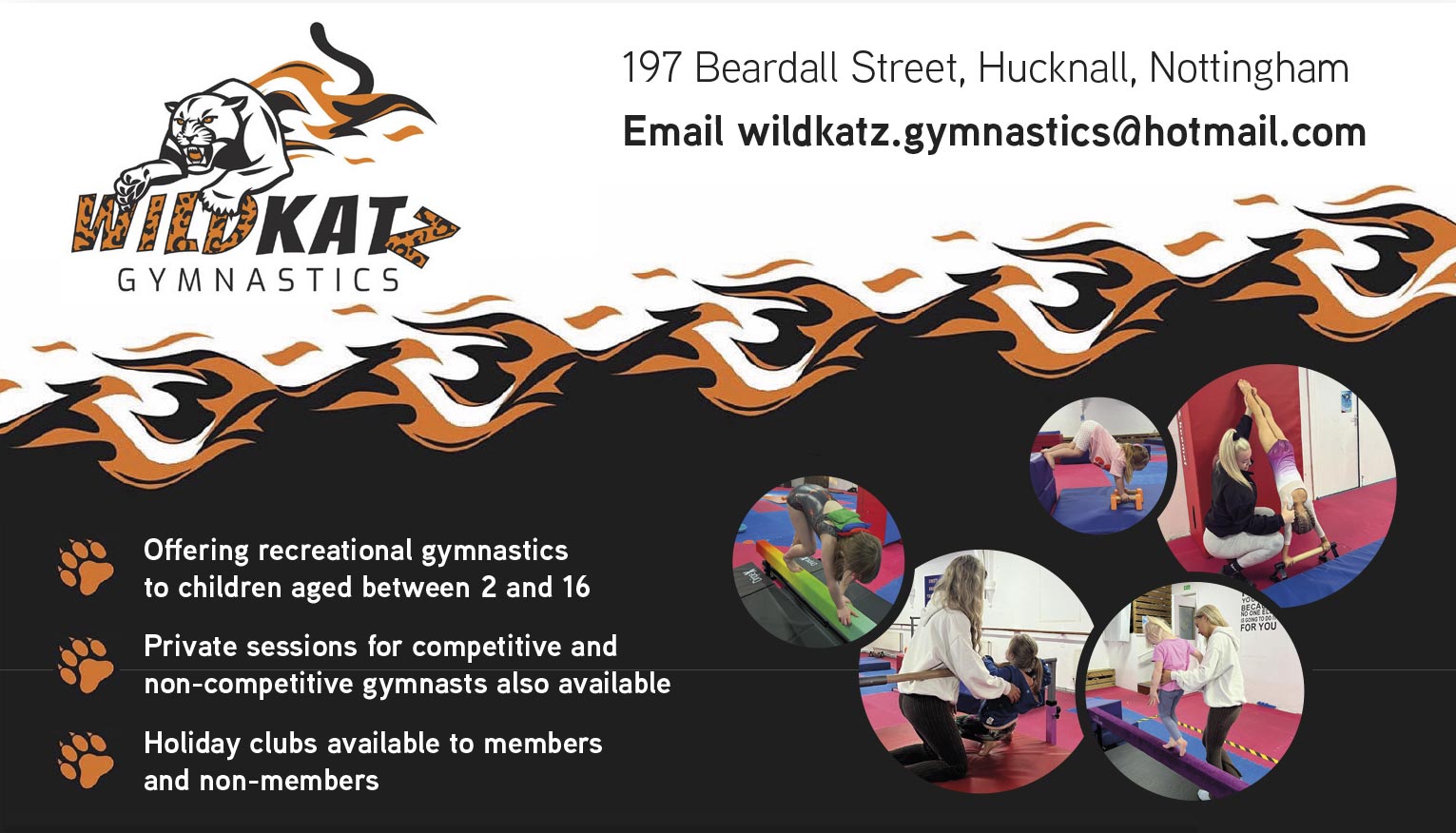 Wildkatz Gymnastics sponsor ad